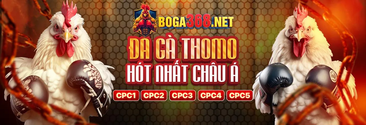 Các tính năng nổi bật của ứng dụng thomo38 nhà cái