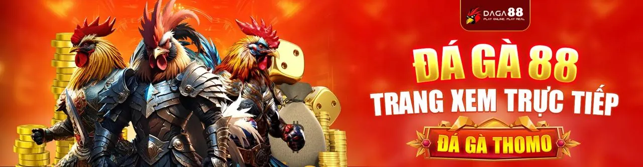 Chính sách Cookie và bảo mật dữ liệu tại thomo38 nhà cái